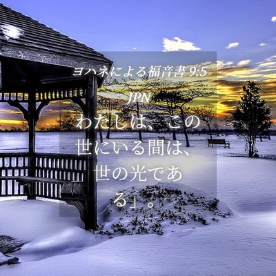 Picture 04 - ヨハネによる福音書 9:5 JPN - わたしは、この世にいる間は、世の - Bible Verse Picture