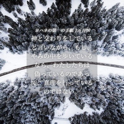 Picture 04 - ヨハネの第一の手紙 1:6 JPN - 神と交わりをしていると言いながら - Bible Verse Picture