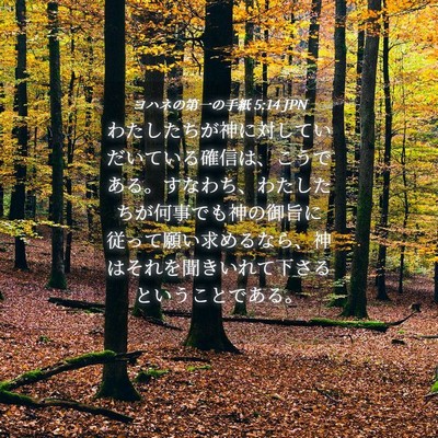 Picture 04 - ヨハネの第一の手紙 5:14 JPN - わたしたちが神に対していだいてい - Bible Verse Picture