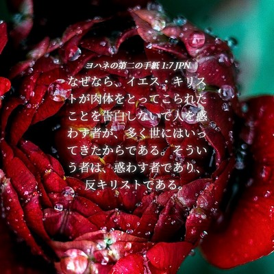 Picture 04 - ヨハネの第二の手紙 1:7 JPN - なぜなら、イエス・キリストが肉体 - Bible Verse Picture
