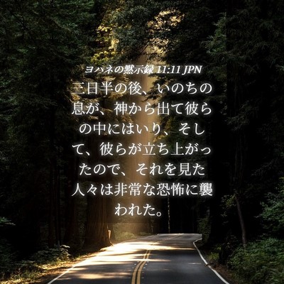 Picture 04 - ヨハネの黙示録 11:11 JPN - 三日半の後、いのちの息が、神から - Bible Verse Picture