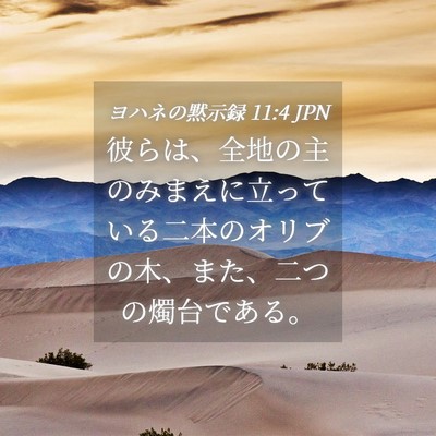 Picture 04 - ヨハネの黙示録 11:4 JPN - 彼らは、全地の主のみまえに立って - Bible Verse Picture