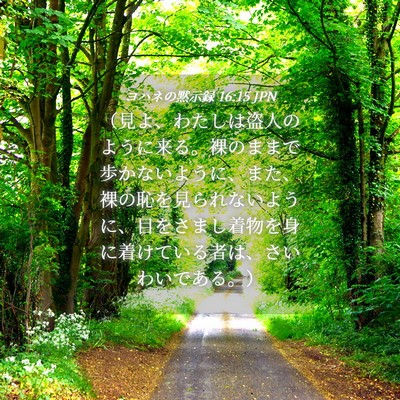 Picture 04 - ヨハネの黙示録 16:15 JPN - （見よ、わたしは盗人のように来る - Bible Verse Picture