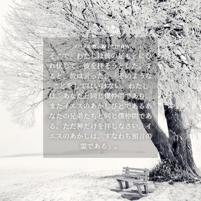 Picture 04 - ヨハネの黙示録 19:10 JPN - そこで、わたしは彼の足もとにひれ - Bible Verse Picture