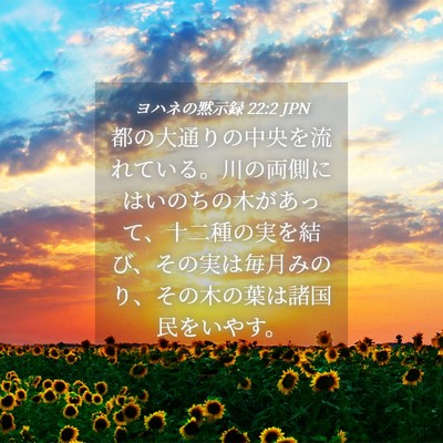 Picture 04 - ヨハネの黙示録 22:2 JPN - 都の大通りの中央を流れている。川 - Bible Verse Picture