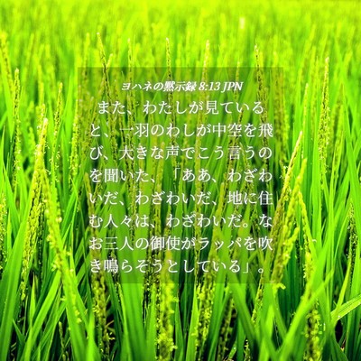 Picture 04 - ヨハネの黙示録 8:13 JPN - また、わたしが見ていると、一羽の - Bible Verse Picture