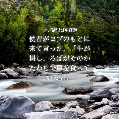 Picture 04 - ヨブ記 1:14 JPN - 使者がヨブのもとに来て言った、「 - Bible Verse Picture