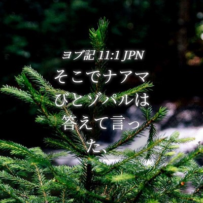 Picture 04 - ヨブ記 11:1 JPN - そこでナアマびとゾパルは答えて言 - Bible Verse Picture