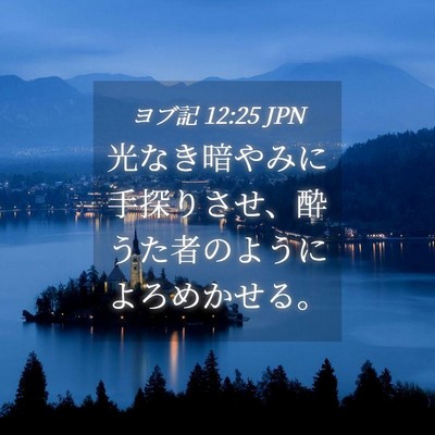 Picture 04 - ヨブ記 12:25 JPN - 光なき暗やみに手探りさせ、酔うた - Bible Verse Picture