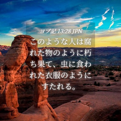 Picture 04 - ヨブ記 13:28 JPN - このような人は腐れた物のように朽 - Bible Verse Picture