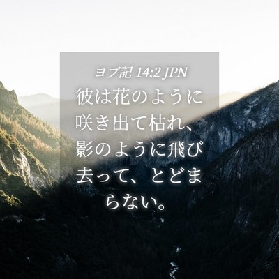 Picture 04 - ヨブ記 14:2 JPN - 彼は花のように咲き出て枯れ、影の - Bible Verse Picture