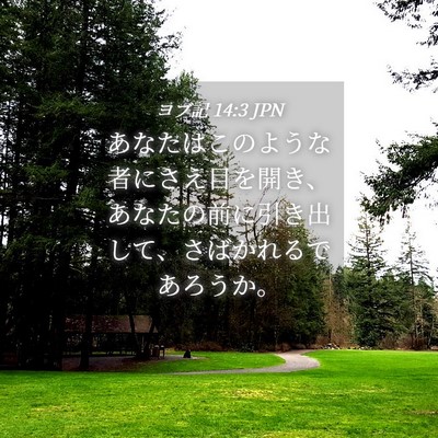 Picture 04 - ヨブ記 14:3 JPN - あなたはこのような者にさえ目を開 - Bible Verse Picture