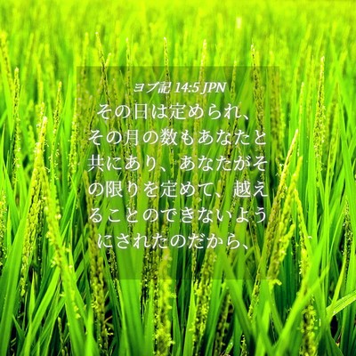 Picture 04 - ヨブ記 14:5 JPN - その日は定められ、その月の数もあ - Bible Verse Picture