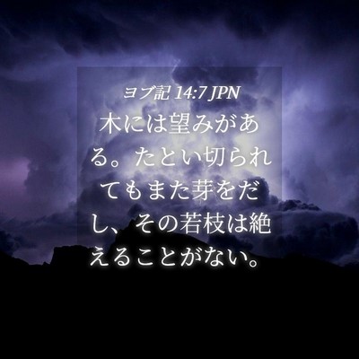 Picture 04 - ヨブ記 14:7 JPN - 木には望みがある。たとい切られて - Bible Verse Picture