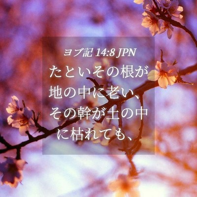 Picture 04 - ヨブ記 14:8 JPN - たといその根が地の中に老い、その - Bible Verse Picture