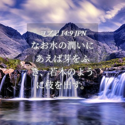 Picture 04 - ヨブ記 14:9 JPN - なお水の潤いにあえば芽をふき、若 - Bible Verse Picture