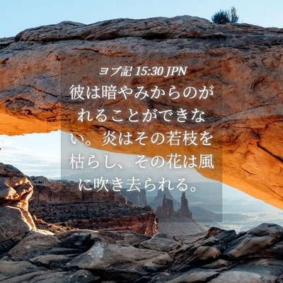 Picture 04 - ヨブ記 15:30 JPN - 彼は暗やみからのがれることができ - Bible Verse Picture