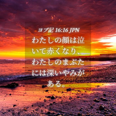 Picture 04 - ヨブ記 16:16 JPN - わたしの顔は泣いて赤くなり、わた - Bible Verse Picture