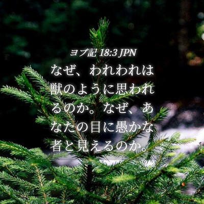 Picture 04 - ヨブ記 18:3 JPN - なぜ、われわれは獣のように思われ - Bible Verse Picture