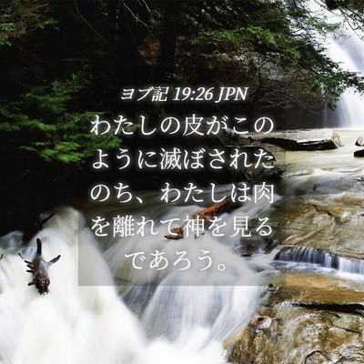 Picture 04 - ヨブ記 19:26 JPN - わたしの皮がこのように滅ぼされた - Bible Verse Picture