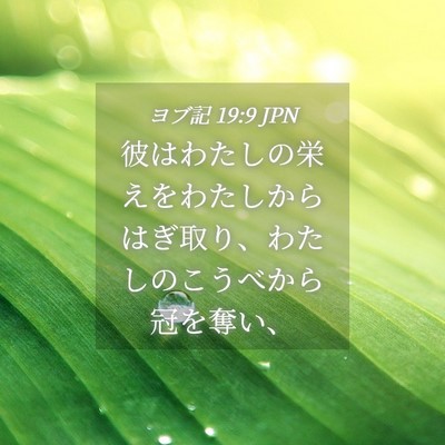 Picture 04 - ヨブ記 19:9 JPN - 彼はわたしの栄えをわたしからはぎ - Bible Verse Picture