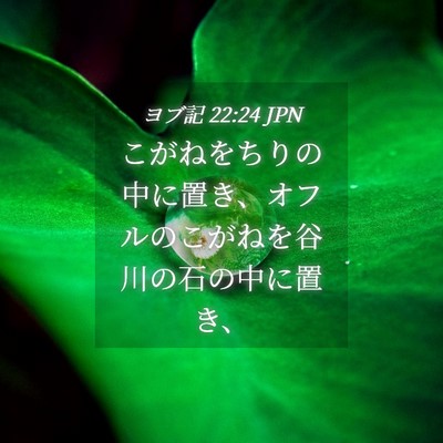 Picture 04 - ヨブ記 22:24 JPN - こがねをちりの中に置き、オフルの - Bible Verse Picture