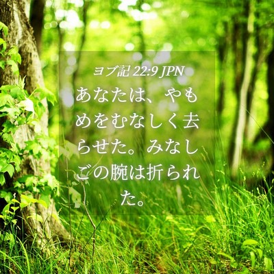 Picture 04 - ヨブ記 22:9 JPN - あなたは、やもめをむなしく去らせ - Bible Verse Picture