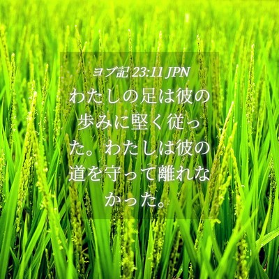 Picture 04 - ヨブ記 23:11 JPN - わたしの足は彼の歩みに堅く従った - Bible Verse Picture