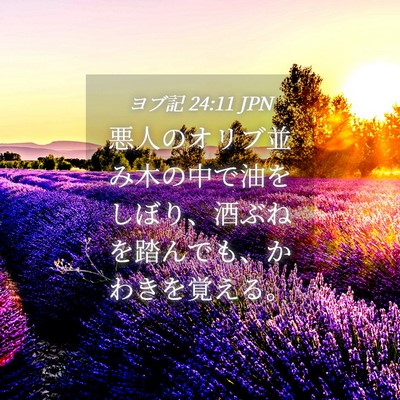 Picture 04 - ヨブ記 24:11 JPN - 悪人のオリブ並み木の中で油をしぼ - Bible Verse Picture