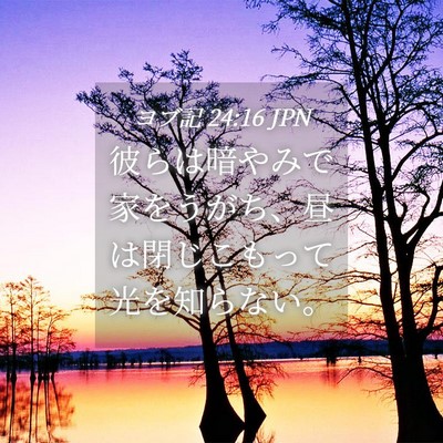 Picture 04 - ヨブ記 24:16 JPN - 彼らは暗やみで家をうがち、昼は閉 - Bible Verse Picture