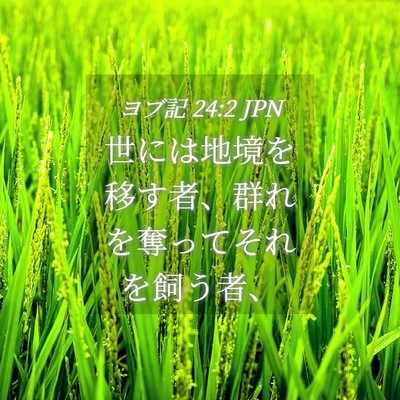Picture 04 - ヨブ記 24:2 JPN - 世には地境を移す者、群れを奪って - Bible Verse Picture