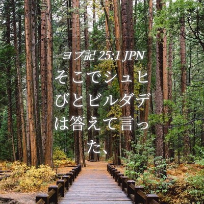 Picture 04 - ヨブ記 25:1 JPN - そこでシュヒびとビルダデは答えて - Bible Verse Picture
