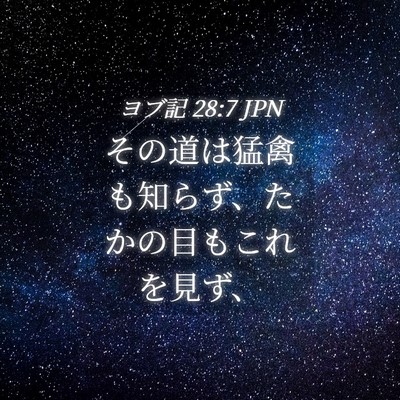 Picture 04 - ヨブ記 28:7 JPN - その道は猛禽も知らず、たかの目も - Bible Verse Picture