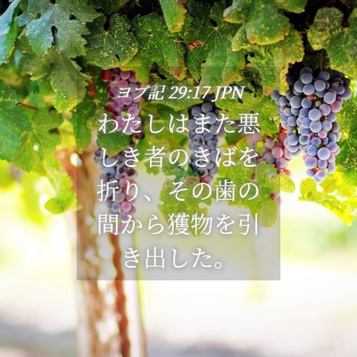 Picture 04 - ヨブ記 29:17 JPN - わたしはまた悪しき者のきばを折り - Bible Verse Picture