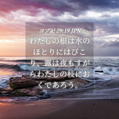 Picture 04 - ヨブ記 29:19 JPN - わたしの根は水のほとりにはびこり - Bible Verse Picture
