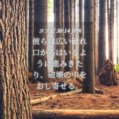 Picture 04 - ヨブ記 30:14 JPN - 彼らは広い破れ口からはいるように - Bible Verse Picture