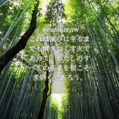 Picture 04 - ヨブ記 31:12 JPN - これは滅びに至るまでも焼きつくす - Bible Verse Picture