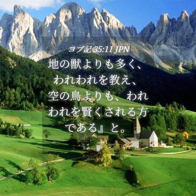 Picture 04 - ヨブ記 35:11 JPN - 地の獣よりも多く、われわれを教え - Bible Verse Picture