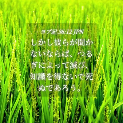Picture 04 - ヨブ記 36:12 JPN - しかし彼らが聞かないならば、つる - Bible Verse Picture