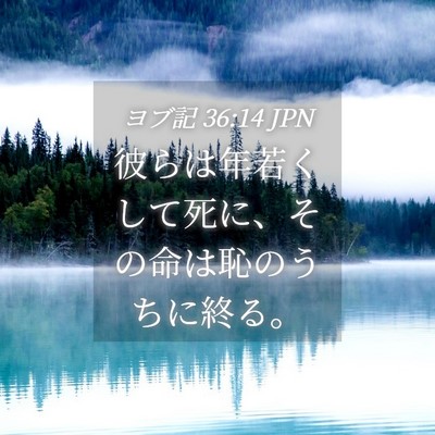 Picture 04 - ヨブ記 36:14 JPN - 彼らは年若くして死に、その命は恥 - Bible Verse Picture