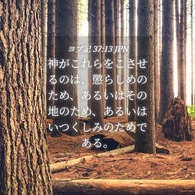 Picture 04 - ヨブ記 37:13 JPN - 神がこれらをこさせるのは、懲らし - Bible Verse Picture