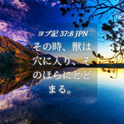 Picture 04 - ヨブ記 37:8 JPN - その時、獣は穴に入り、そのほらに - Bible Verse Picture