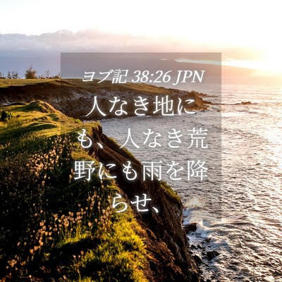 Picture 04 - ヨブ記 38:26 JPN - 人なき地にも、人なき荒野にも雨を - Bible Verse Picture