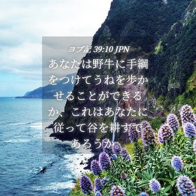 Picture 04 - ヨブ記 39:10 JPN - あなたは野牛に手綱をつけてうねを - Bible Verse Picture