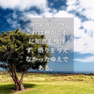Picture 04 - ヨブ記 39:17 JPN - これは神がこれに知恵を授けず、悟 - Bible Verse Picture