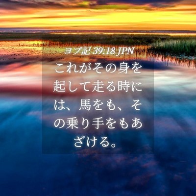 Picture 04 - ヨブ記 39:18 JPN - これがその身を起して走る時には、 - Bible Verse Picture