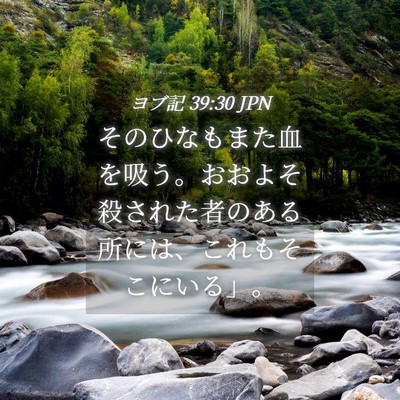 Picture 04 - ヨブ記 39:30 JPN - そのひなもまた血を吸う。おおよそ - Bible Verse Picture