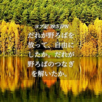 Picture 04 - ヨブ記 39:5 JPN - だれが野ろばを放って、自由にした - Bible Verse Picture