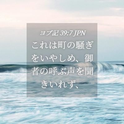 Picture 04 - ヨブ記 39:7 JPN - これは町の騒ぎをいやしめ、御者の - Bible Verse Picture