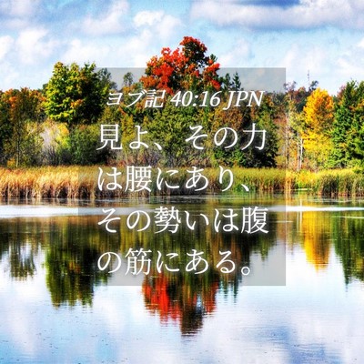 Picture 04 - ヨブ記 40:16 JPN - 見よ、その力は腰にあり、その勢い - Bible Verse Picture